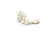 little wonders coral 3 pieces